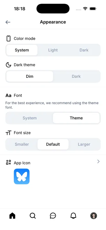 Captured screen for /settings/appearance